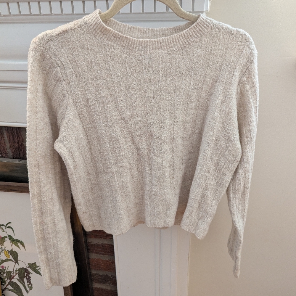H&M Wool & Alpaca Blend Sweater